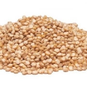 Quinoa